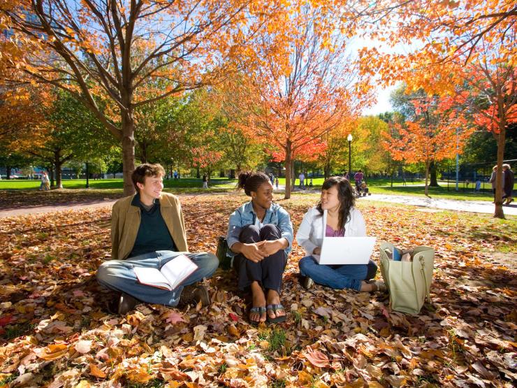 Students sitting in fall leaves