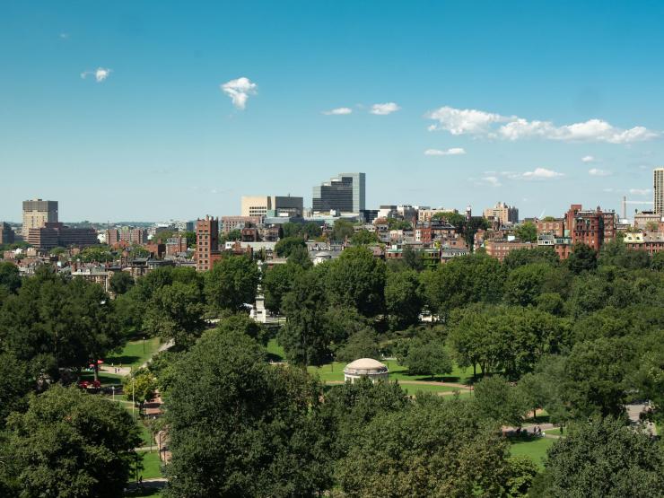 Overhead view of Boston Common during the summer, lush with green trees