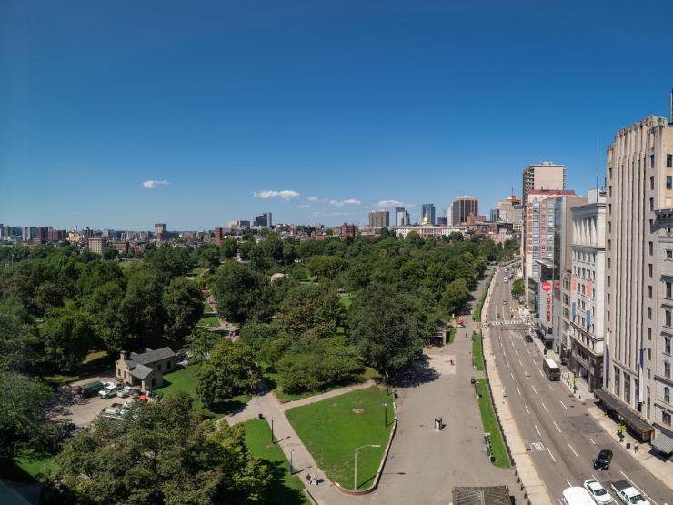 A bird's eye view of the Boston Common from Tremont Street