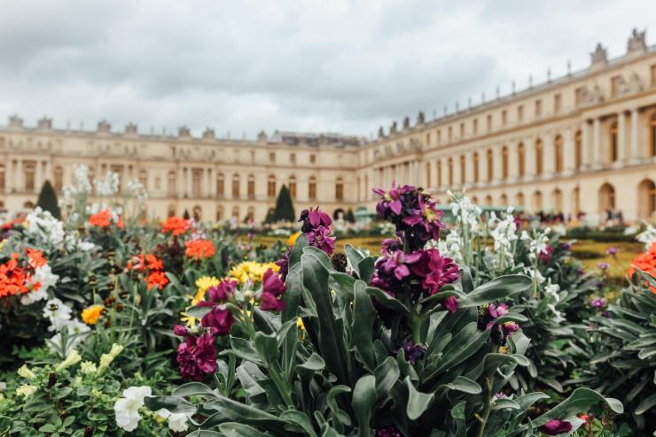 Flower garden with blurred building in the background