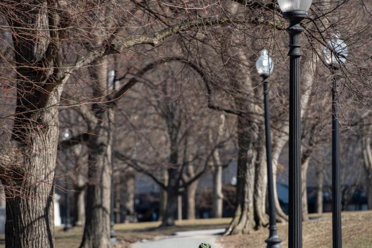 Two people walking through the Boston Common. The trees above them are bare.